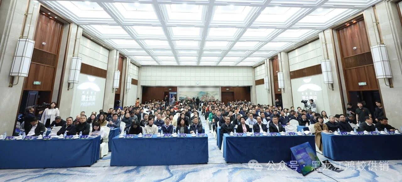 供销倾心架彩虹 鸿蛟砥砺谱新篇