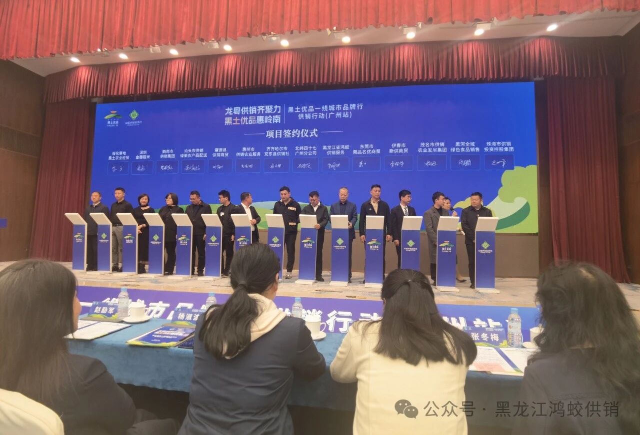 供销倾心架彩虹 鸿蛟砥砺谱新篇