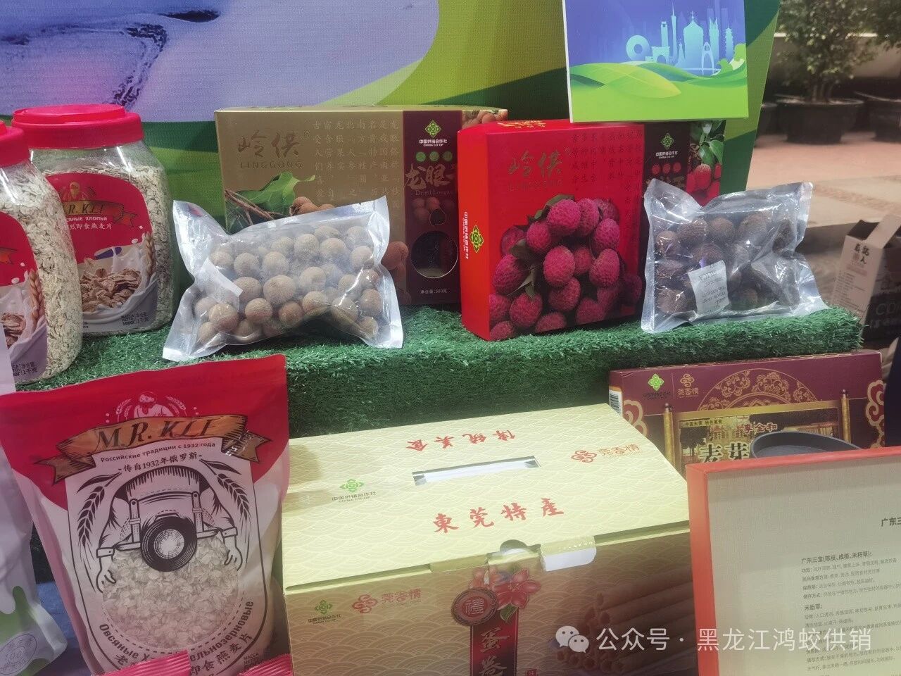 供销倾心架彩虹 鸿蛟砥砺谱新篇