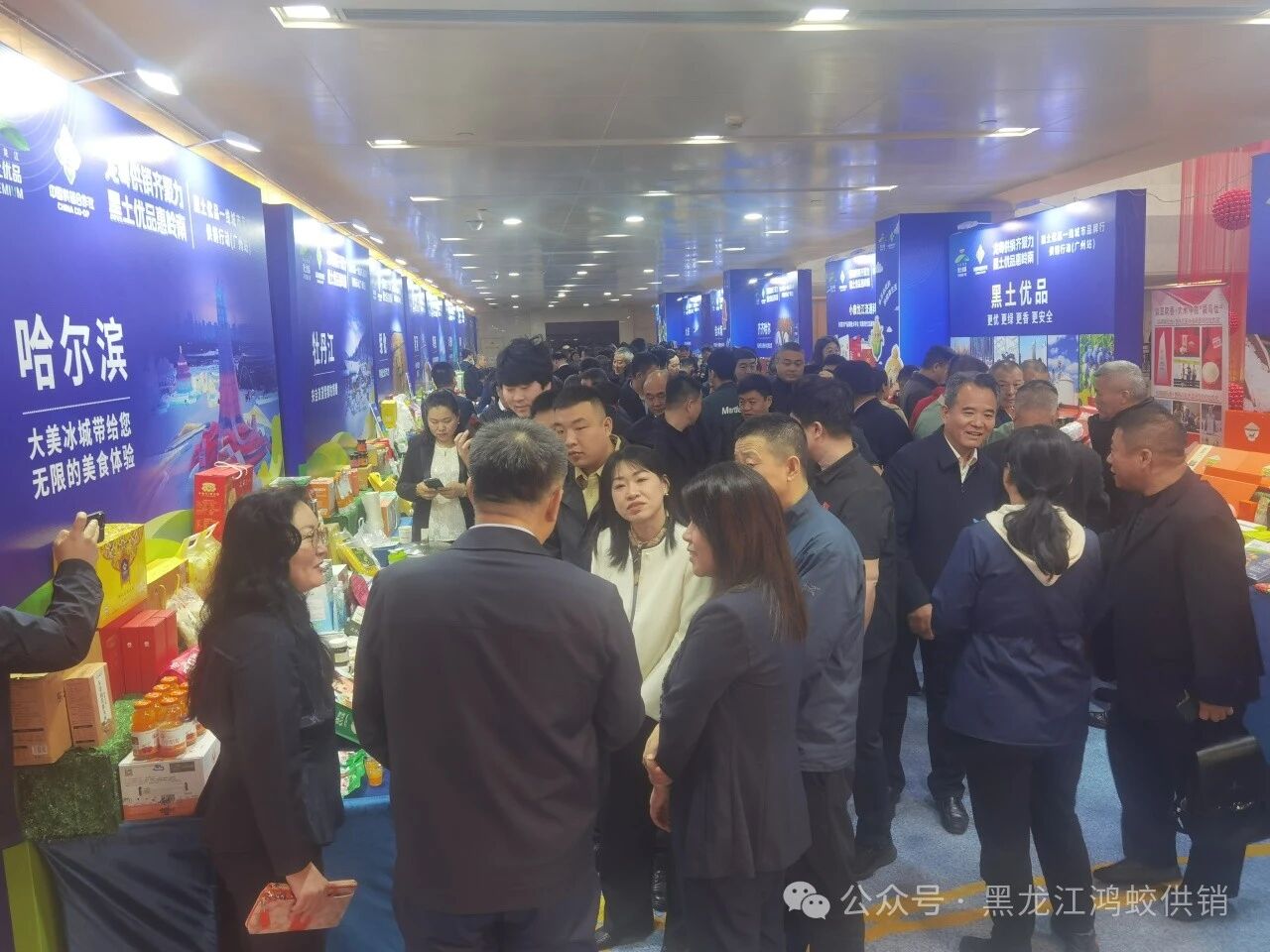 供销倾心架彩虹 鸿蛟砥砺谱新篇