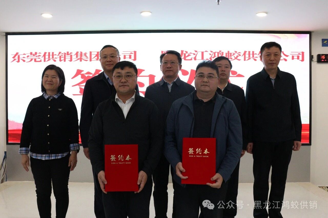 供销倾心架彩虹 鸿蛟砥砺谱新篇