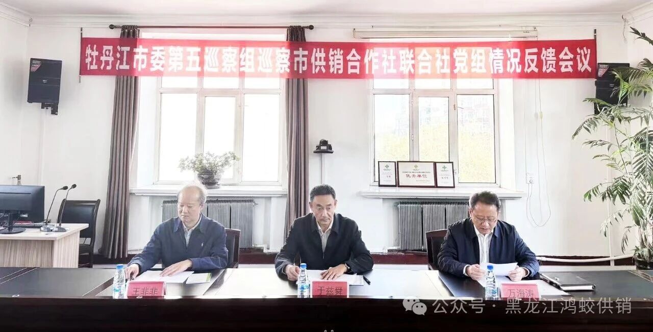 市委第五巡察组向市供销社党组反馈巡察情况